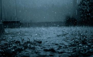 七色雨教案8篇