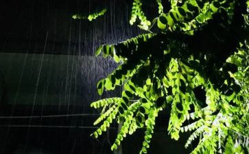 雨的故事作文5篇