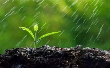 绘本雨教案参考7篇