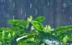幼儿园大班《小雨点》教案5篇