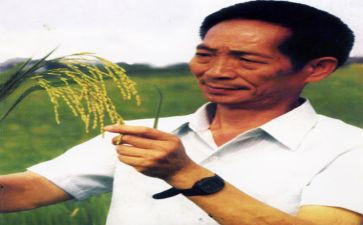 袁隆平在2024作文推荐7篇