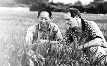 袁隆平在2024作文5篇
