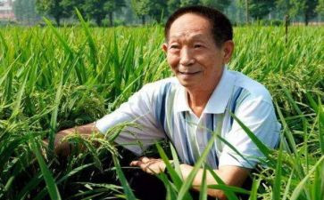 袁隆平传心得体会推荐7篇