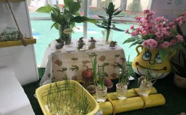 幼儿园培训计划7篇