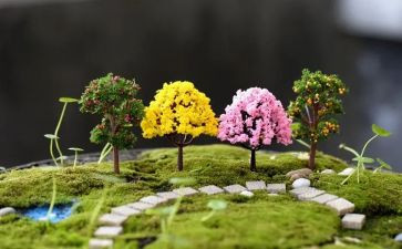 校园艺术节活动方案5篇