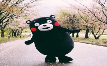 悦已越已演讲稿8篇