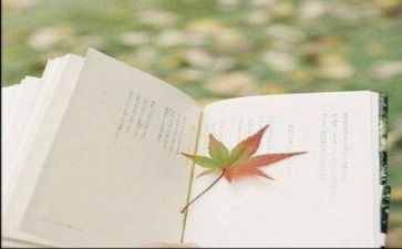 关于阅读活动的总结7篇