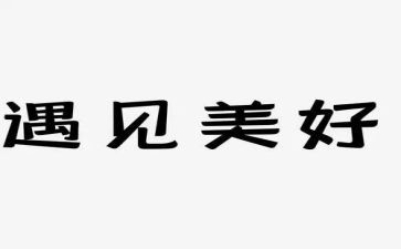 遇见老师作文600字8篇