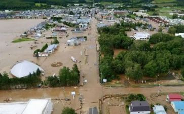 水灾害申请救助申请书5篇