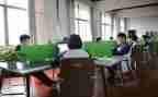在校大学生心得体会7篇