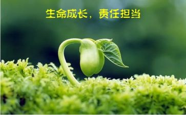 四责任体会心得体会优秀5篇