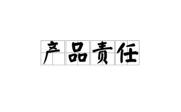 责任与作文精选6篇