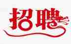 招聘个人年终总结8篇