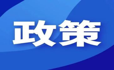 政策活动总结最新8篇