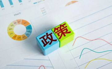 政策活动总结参考6篇