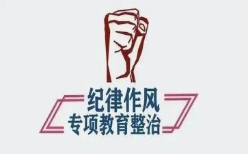 纪律整顿自查报告优秀8篇