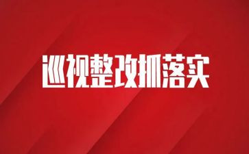巡察组巡察整改报告参考6篇