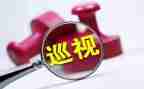 党组书记整改报告6篇