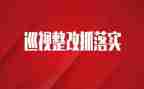 学校食品整改报告范文7篇