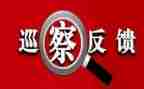 师德师风专项整改报告5篇