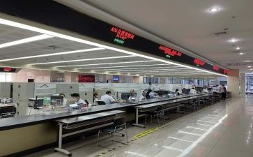 政务自查报告8篇