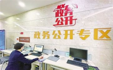 2024年政务公开日活动总结5篇