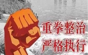 2024年专项整治个人总结5篇