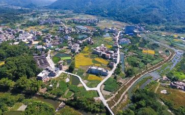 乡村振兴的调研报告模板8篇