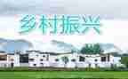 全市乡村振兴工作总结5篇