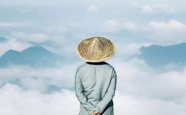 狼的智慧读后感精选5篇