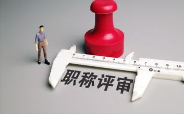 职称申请工作总结5篇