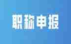 专业技术职称工作总结6篇