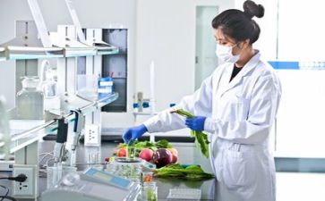 工作质量个人总结报告5篇