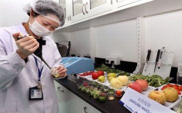质量量月活动总结模板8篇