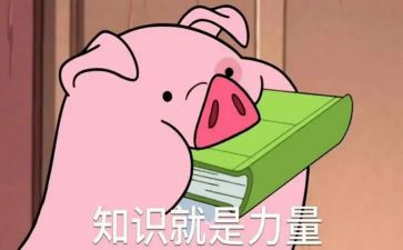 党知识演讲稿6篇