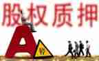 借款质押合同6篇