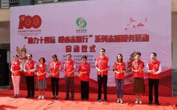 青年志愿者的工作总结7篇