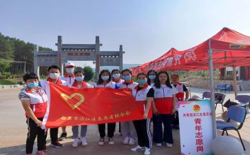 志愿心得体会500字8篇