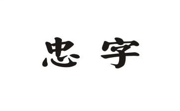 忠的感悟心得体会通用6篇