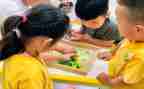 幼儿园中班段工作计划模板6篇