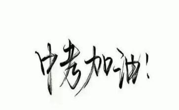 优秀中考作文模板6篇