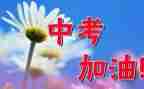 作文中考范文推荐5篇