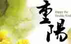重阳节活动致辞稿7篇