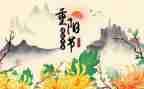 2024年重阳节活动方案通用8篇