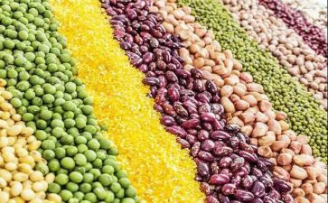 种子中班教案8篇