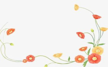 装饰年终总结报告8篇