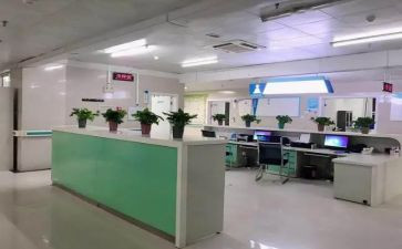 专科生毕业的自我鉴定推荐6篇