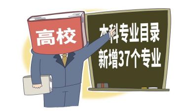 转专业调查报告模板7篇