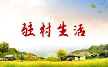 驻村蹲点工作总结8篇