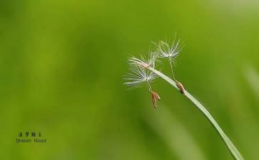 追梦2024年演讲稿6篇